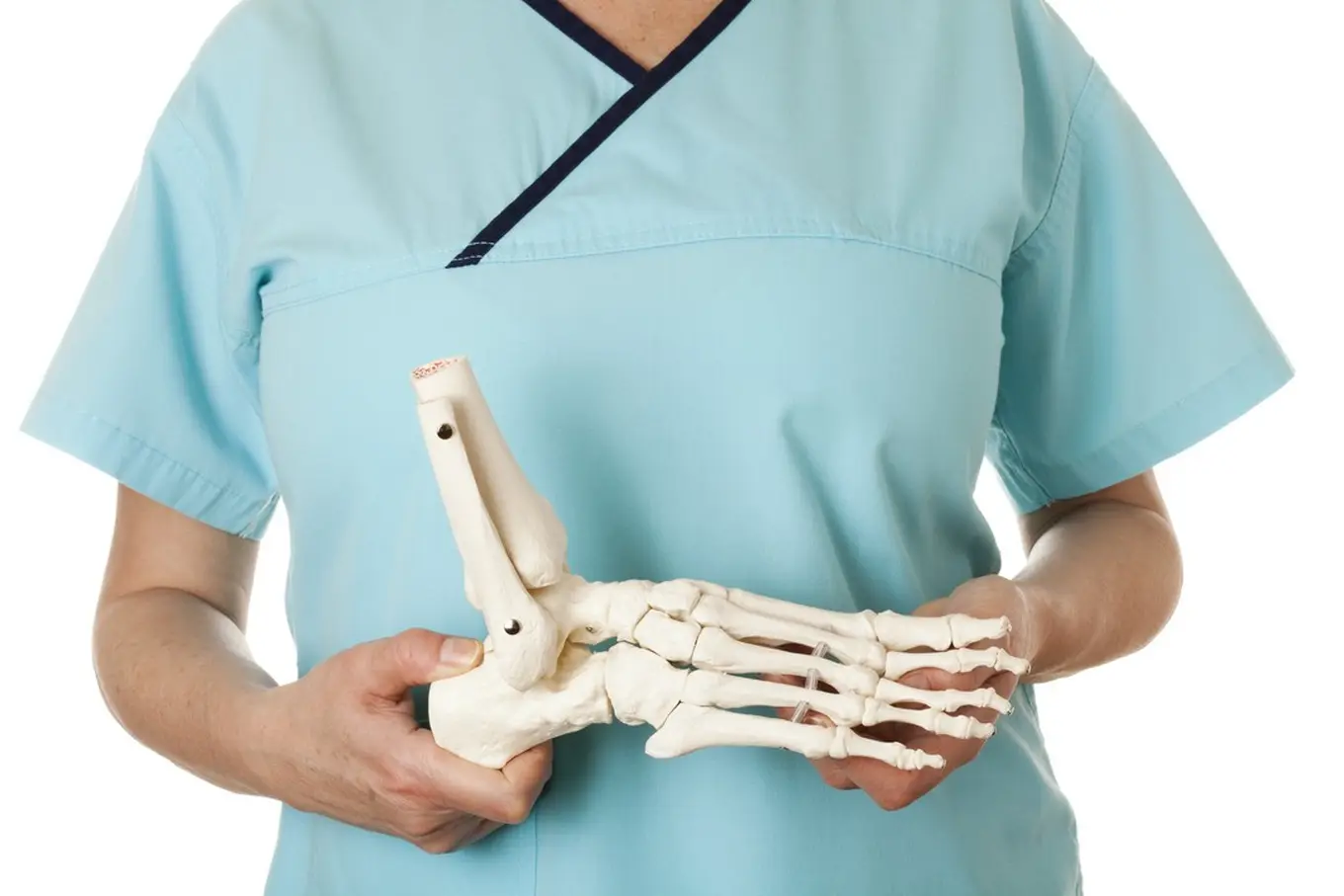 ortopeda trzymający szkielet stopy